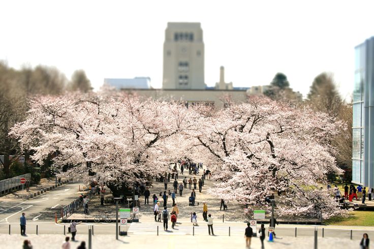 TOKYO INSTITUTE OF TECHNOLOGY